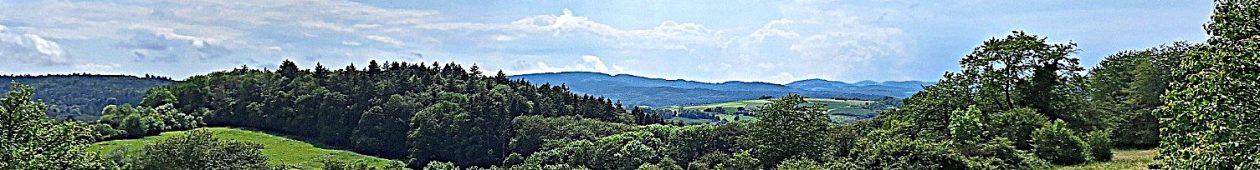 Vernunftkraft Odenwald: Pro Mensch – Natur – Landschaft